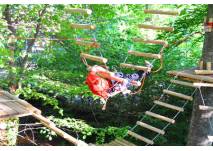 Kletterwald (c) AbenteuerPark Schloss Lichtenstein Mann beim Klettern im Abenteuerpark Schloss Lichtenstein