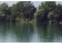 (c) alex grom Idylle am See