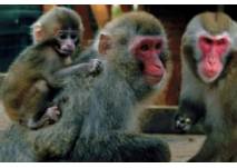 © Oderbruchzoo