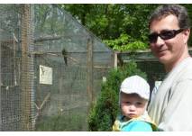 "Zoo der Minis" oder auch Tiergarten Aue (c) Antje B. "Zoo der Minis" oder auch Tiergarten Aue