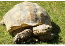 Tierpark Bad Liebenstein