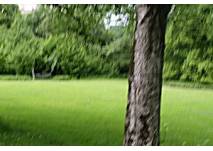 Kurpark in Bad Nauheim