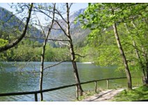 Bad Reichenhall, Thumsee, copyright: Diana Bad Reichenhall, Wanderung um den Thumsee