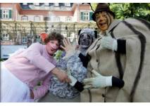 (c) Barock am Main Karneval der Tiere