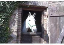 Ponyhof Regenbogen bei Beelitz