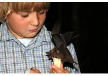 Kindergeburtstag im Fledermauskeller in Berlin, © Berliner Artenschutz Team -BAT- e.V. Kindergeburtstag im Fledermauskeller in Berlin