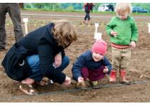 Ein eigener Gemüsegarten für Familien, © meine ernte Ganders und Kirchbaumer GbR Ein eigener Gemüsegarten für Familien in Berlin