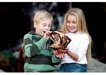 Kinder © AquaDom & SeaLife Berlin © AquaDom & SeaLife Berlin