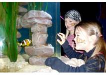 © AquaDom & SeaLife Berlin © AquaDom & SeaLife Berlin