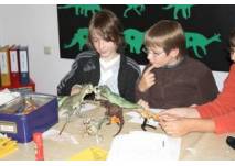 (c) Naturkunde-Museum Das Naturkunde-Museum der Stadt Bielefeld