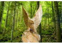 Bischofswiesen Märchenpfad, copyright: Tourist-Info Bischofswiesen Bischofswiesen Märchenpfad