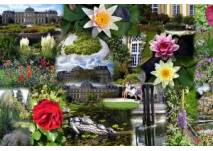 (c) Botanische Gaerten Bonn Der botanische Garten am Poppelsdorfer Schloss in Bonn (c) Botanische Gaerten Bonn