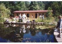 © Waldschule Briesetal