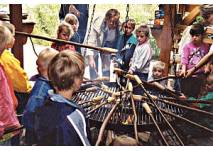 © Waldschule Briesetal © Waldschule Briesetal