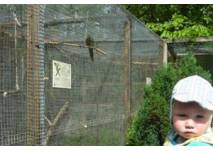Vogelpark Kunschmann in Deschka (c) Antje B. Vogelpark Kunschmann in Deschka