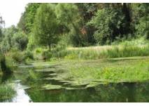 Naturlehrpfad Donau - Gronne - Lichternsee (c) alex grom Naturlehrpfad Donau - Gronne - Lichternsee (c) alex grom