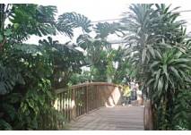 Botanischen Garten Duisburg