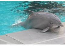 Zoo Duisburg
