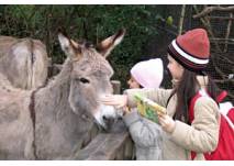 Kindergeburtstag Duisburg Zoo