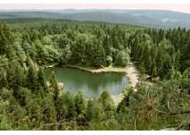 Bergsee an der Ebertswiese am Rennsteig