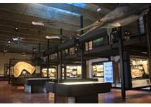 Jura-Museum Eichstätt, copyright: Jura-Museum Eichstätt Jura-Museum Eichstätt