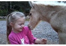 (c) Eifelzoo