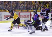 Bayreuth Tigers (c) Kunsteisstadion Bayreuth Eishockey Bayreuth Tigers