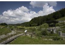 Eiszeitliche Landschaftsformen - Blick über den Eiszeitpark Engen
