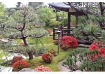Japanischer Bonsaigarten Ferch