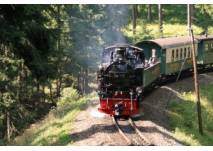 Fahrt mit der Fichtelbergbahn (c) SDG
