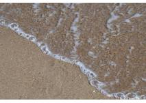 Flacher Strand