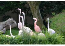 Flamingos Tierschauanlage im Gartencenter La Vida in Bremen