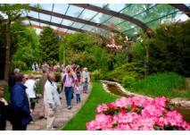 Freiflughalle (c) Weltvogelpark Walsrode Familien in der Freiflughalle im Weltvogelpark Walsrode