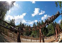 Freizeitpark Ruhpolding, copyright: Freizeitpark Ruhpolding Freizeitpark Ruhpolding