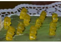 Gelbe Gummibären auf grüner Torte