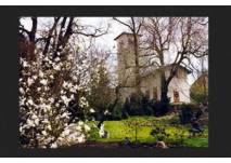 Botanischer Garten Gera (c) Stadt Gera