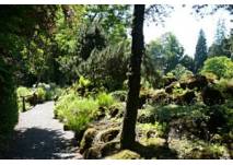 Botanischer Garten Gießen