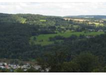 Blick auf Wiesen und Wald