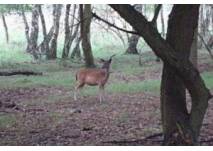 Wildgehege Glauer Tal bei Trebbin