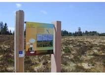 Grindenpfad (c) Tourist-Info, 77889 Seebach