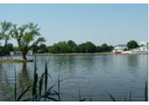 Naturfreibad Großer Woog (c) Stadt Darmstadt