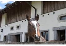Gut Aiderbichl Bayern, copyright: Diana Gut Aiderbichl Bayern
