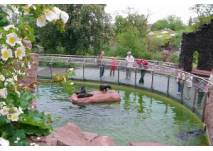 (c) Zoo Halle Kindergeburtstag im Zoo Halle