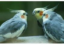 (c)Tierpark Hamm Der Tierpark Hamm