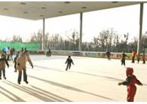 Eislaufen am überdachten Eislaufplatz in Hard am Bodensee (c) Harder Sport- und Freizeitanlagen BetriebsgesmbH Eislaufen am überdachten Eislaufplatz in Hard am Bodensee