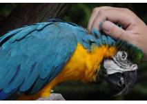 Kindergeburtstag im Vogelpark Heiligenkirchen