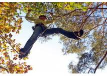  CLIMB UP! - Kletterwald® in Hennigsdorf