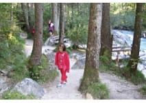 Zaubewald Hintersee, copyright: Diana Hintersee Zauberwald
