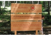 Inzell Frillensee Waldlehrpfad, copyright: Diana Inzell Frillensee Waldlehrpfad