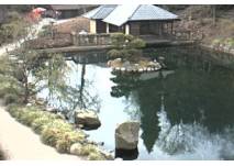 Japanischer Garten Kaiserslautern